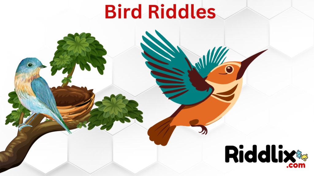 Bird Riddles
