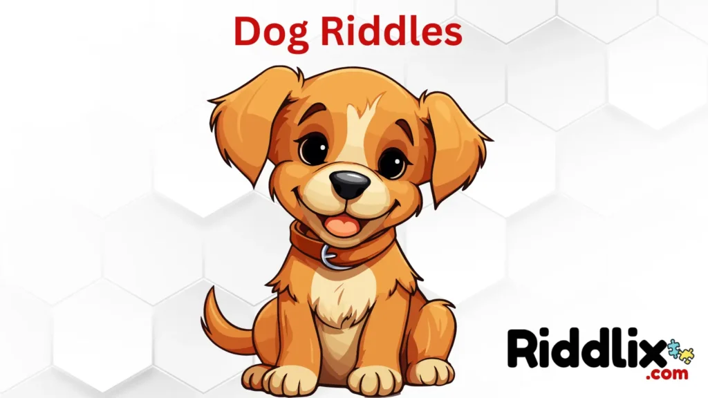 Dog Riddles