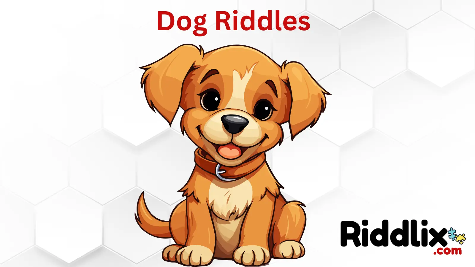 Dog Riddles