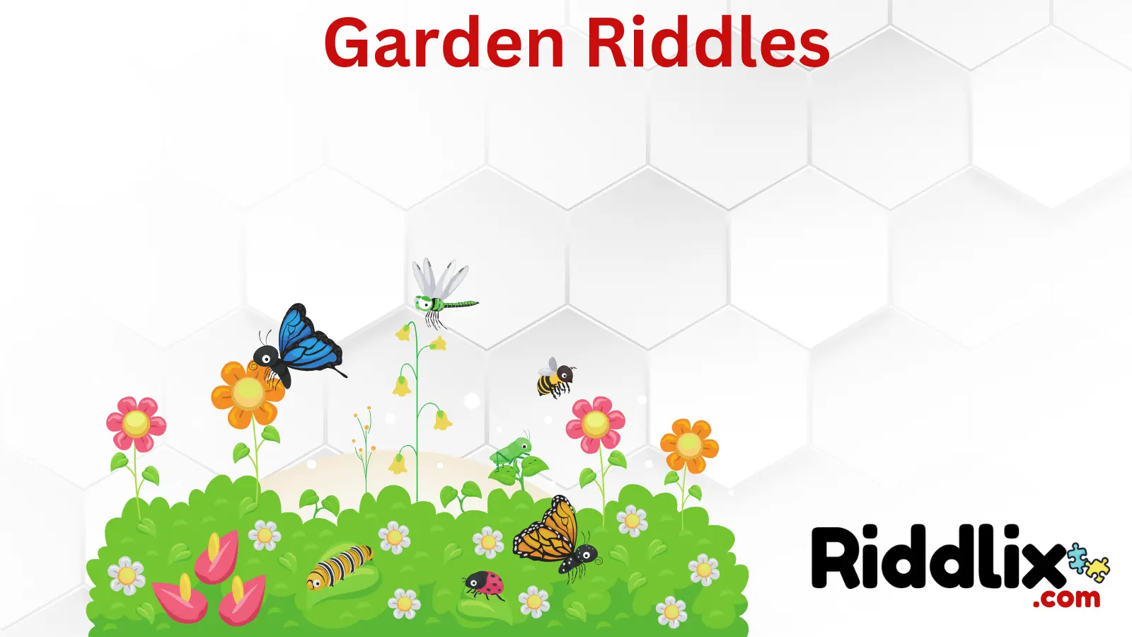 Garden Riddles