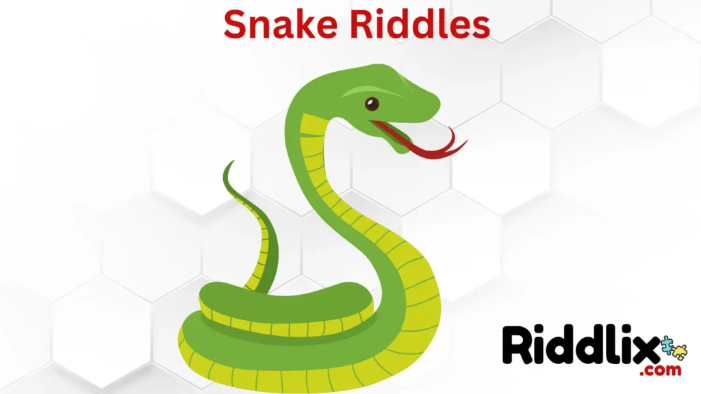Snake Riddles and Test Your Wit