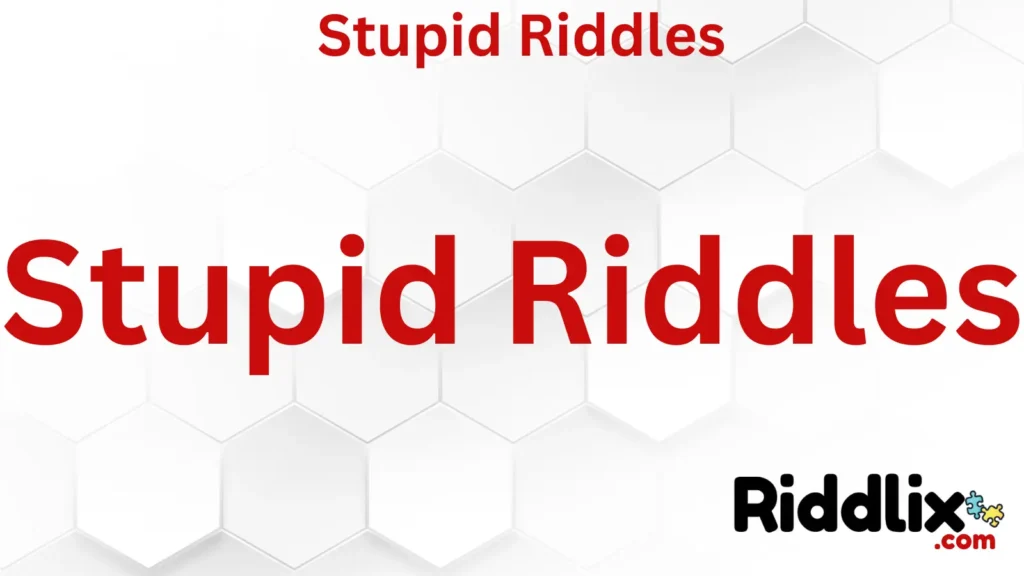 Stupid Riddles to Enjoy with Friends