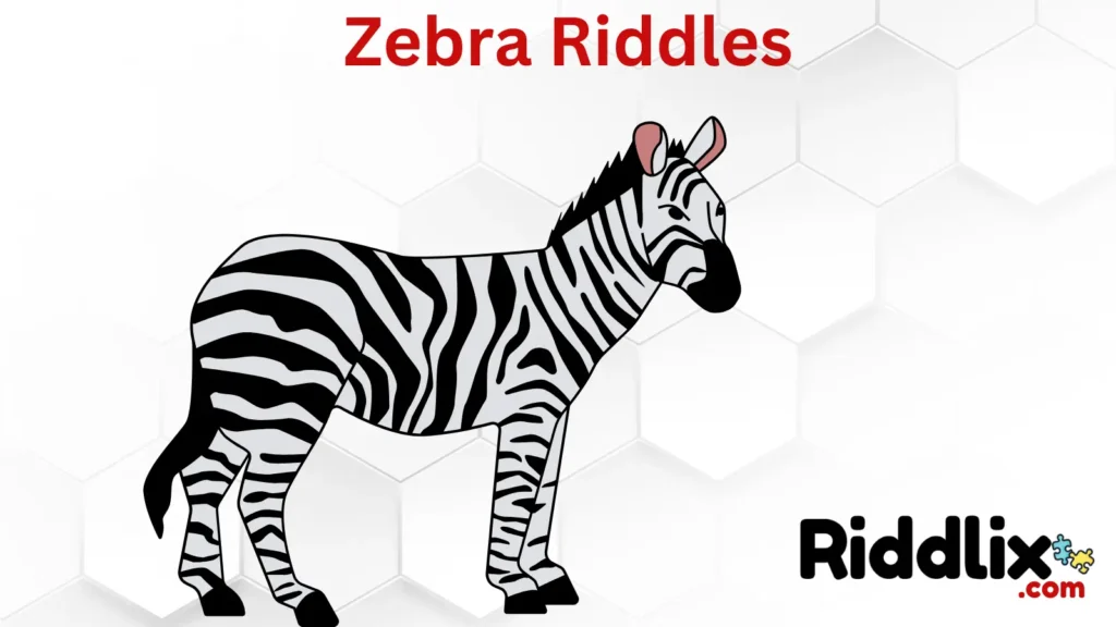 Zebra Riddles