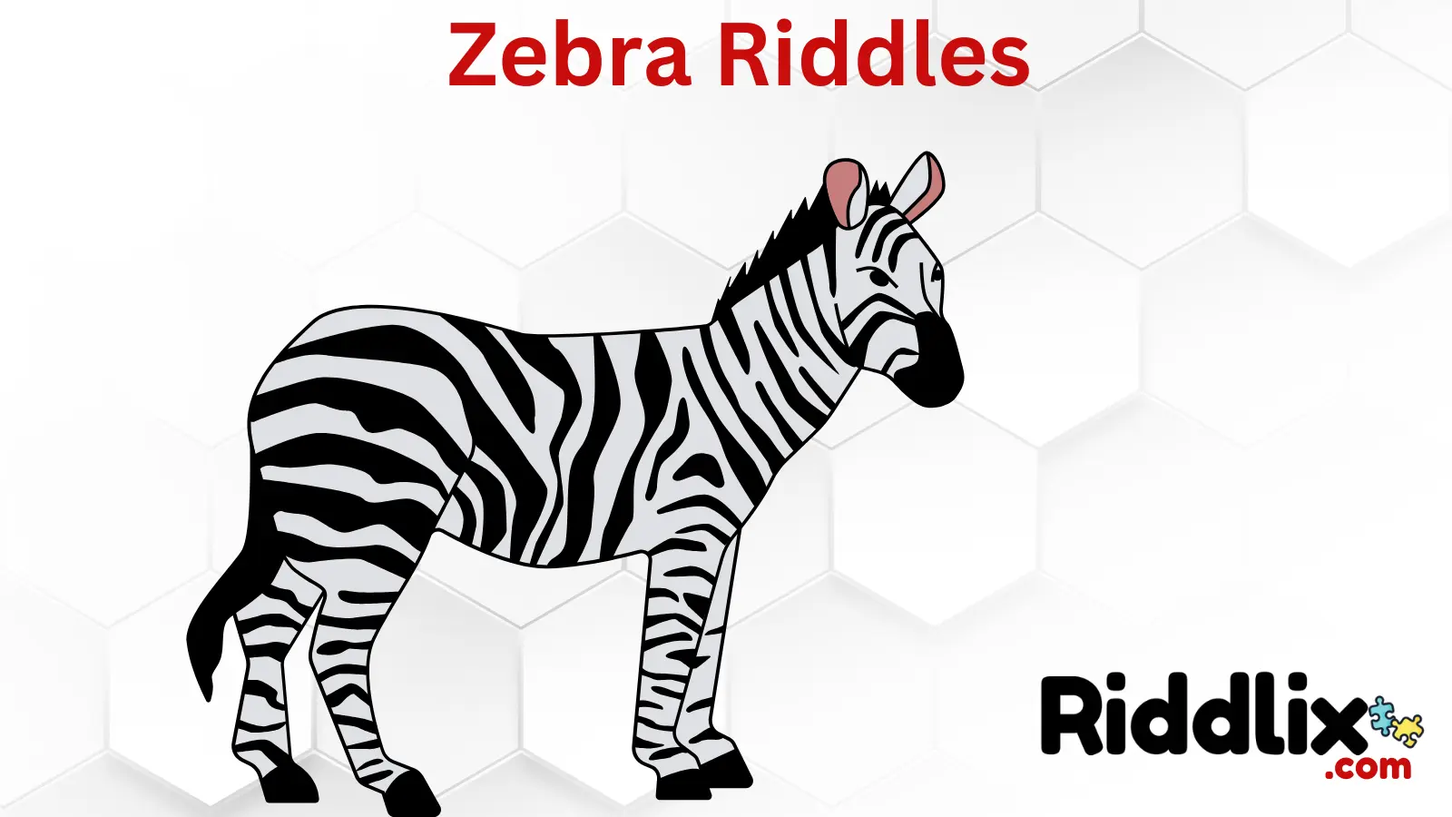 Zebra Riddles