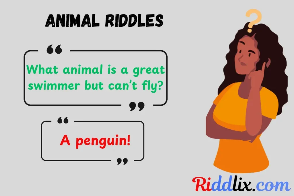 Animal Riddles
