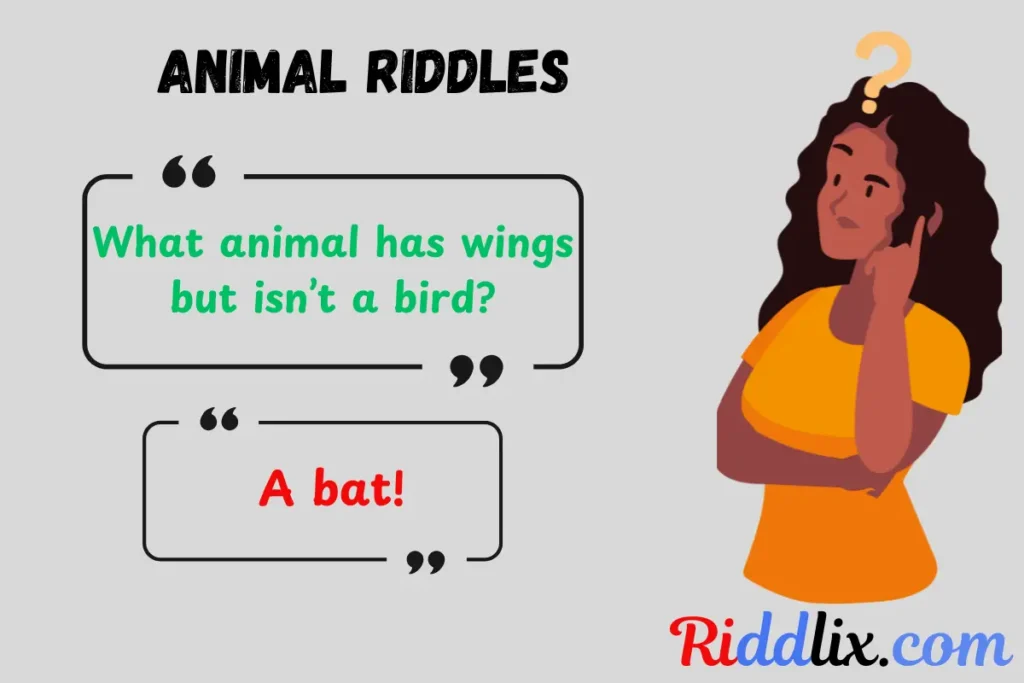 Animal Riddles