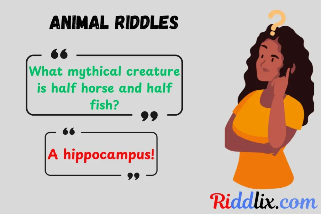 Animal Riddles
