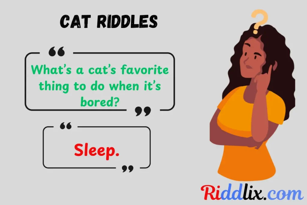 Cat Riddles