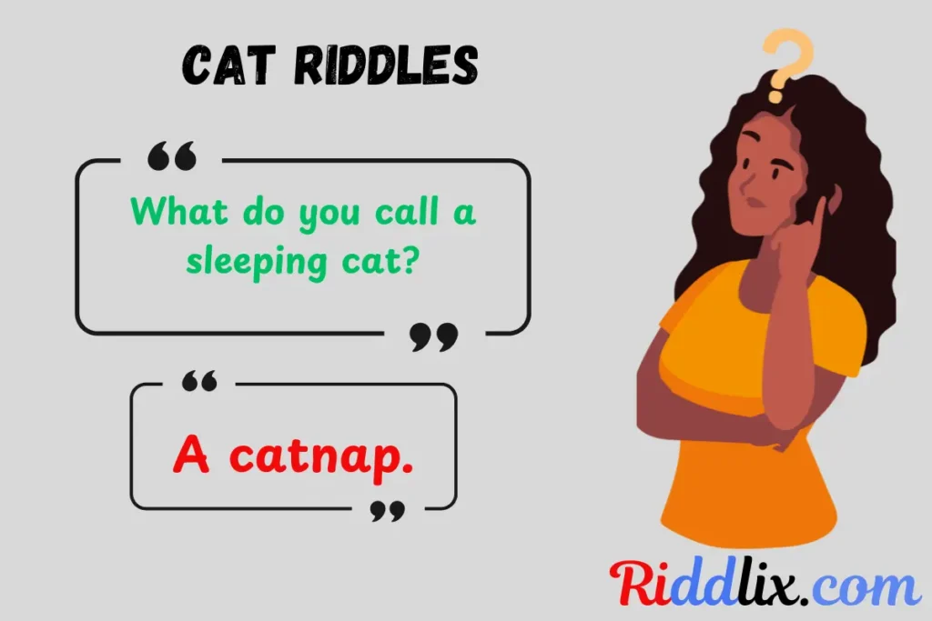 Cat Riddles