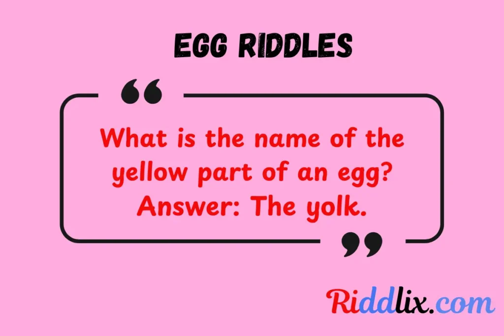 Egg Riddles