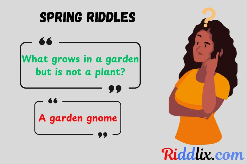 Spring Riddles